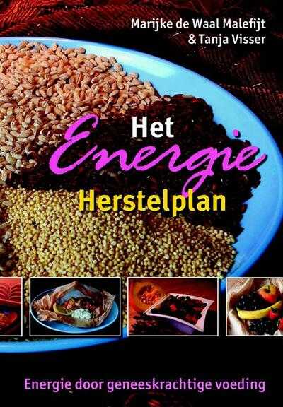 M. de Waal en T. Visser - Het Energie Herstelplan