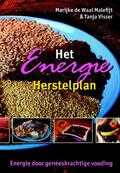 M. de Waal en T. Visser - Het Energie Herstelplan