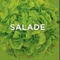 Carla Bardi en Brent Parker Jones - Salade Carla Bardi en Brent Parker Jones - Salade