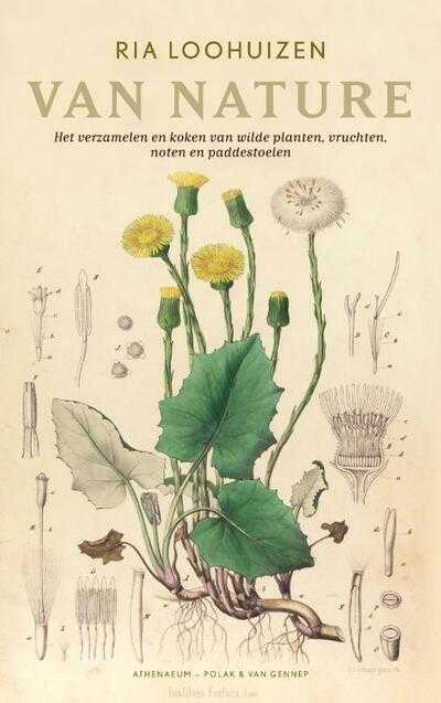 Ria Loohuizen - Van Nature
