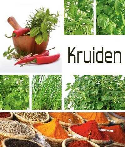 A. Rausch en B. Lotz - Dumonts kleine kruiden lexicon