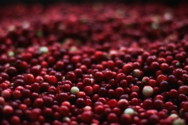 Foto van cranberry's