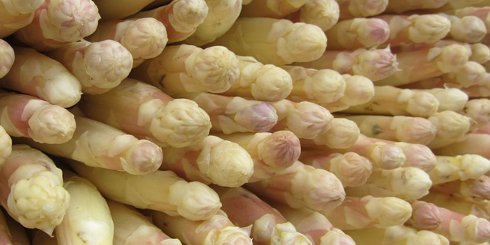 Foto van aspergeschuim