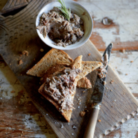Serveersuggestie Rillette van gans