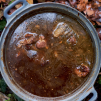 Serveersuggestie Ragout van damhert en ander wild